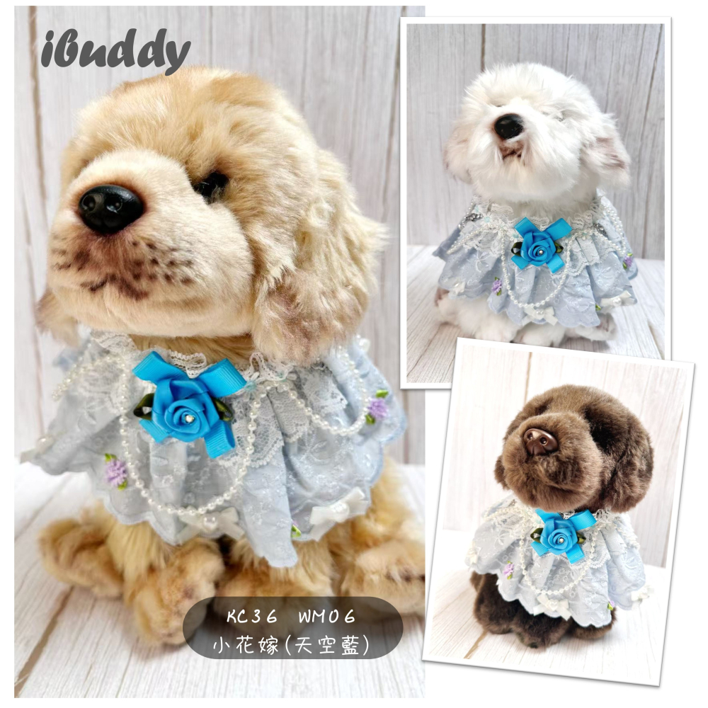 寵物婚禮領巾 狗領巾 寵物婚紗 西服蕾絲領巾 結婚 擺拍 外拍 白紗 婚紗照 婚禮【KC36WM】iBuddy-細節圖8