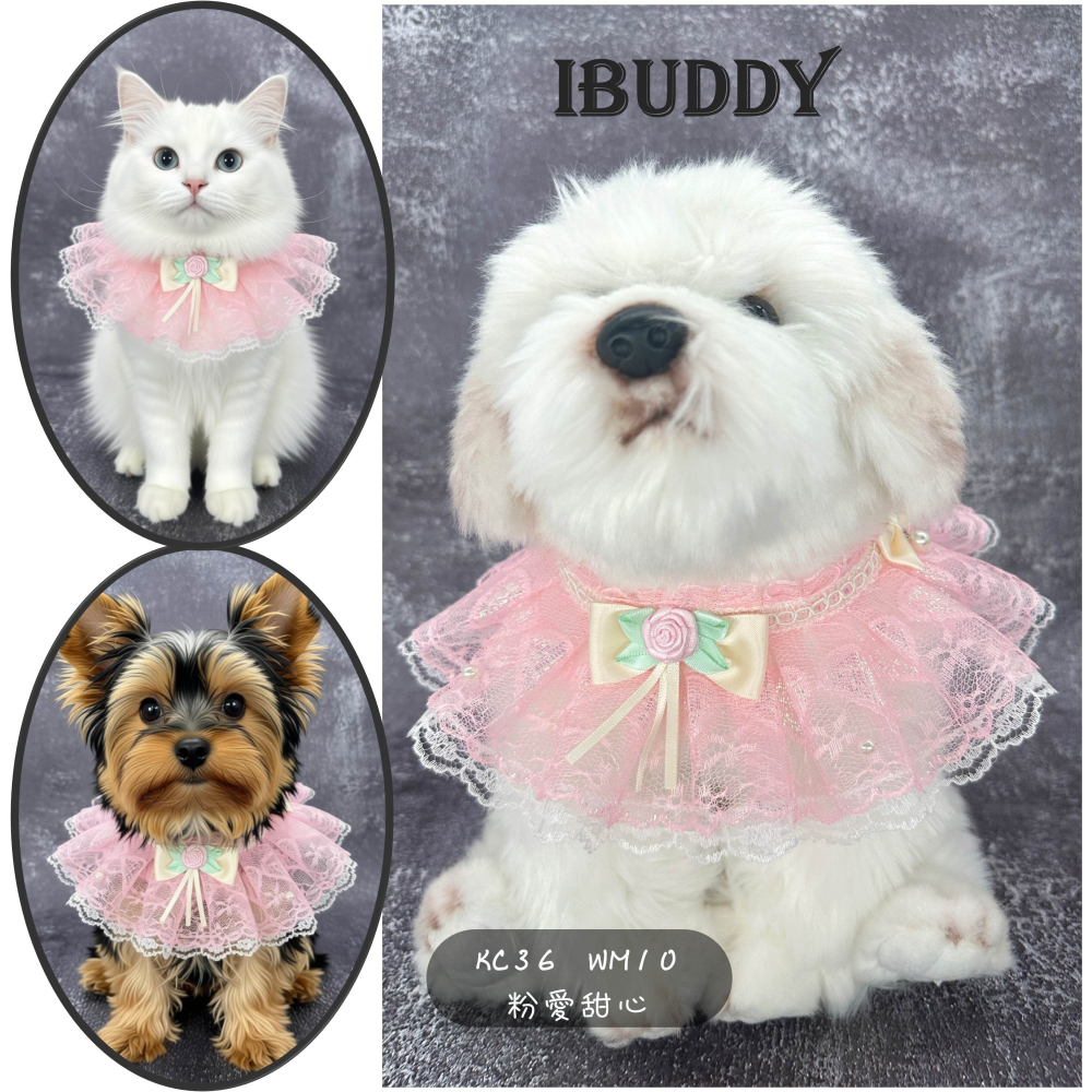 寵物婚禮領巾 狗領巾 寵物婚紗 西服蕾絲領巾 結婚 擺拍 外拍 白紗 婚紗照 婚禮【KC36WM10】iBuddy-細節圖3