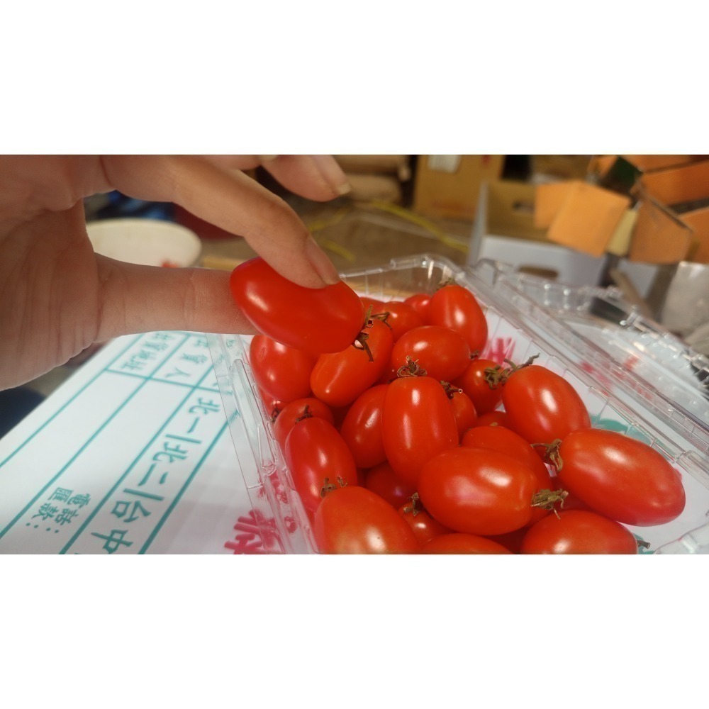 高山聖女小番茄 三盒裝-細節圖2