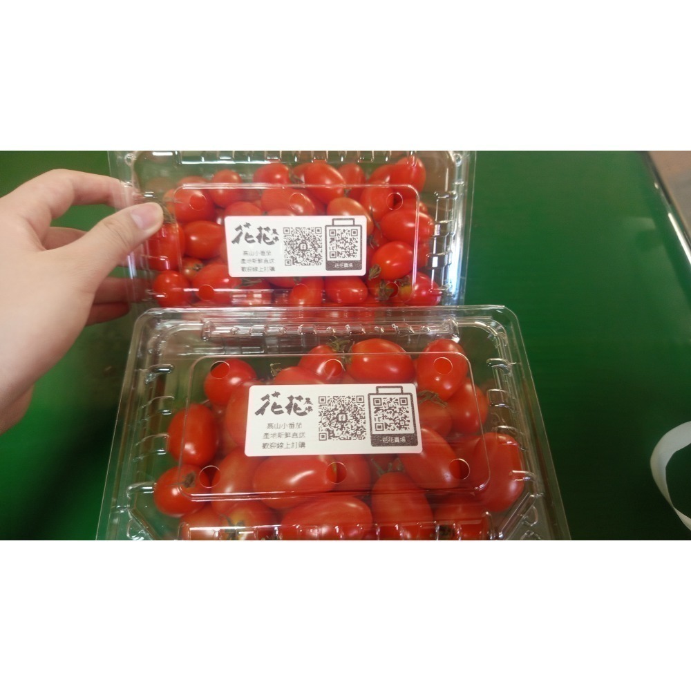 高山聖女小番茄 三盒裝-細節圖4