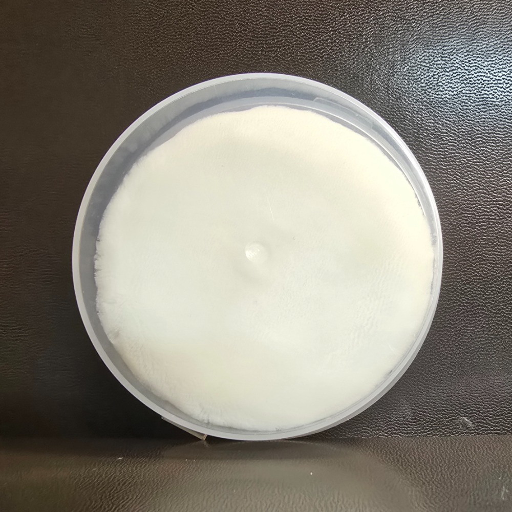 🐾二手🐾 爾木萄 植絨蜜粉撲 大號 含盒子 淘寶購入-細節圖3