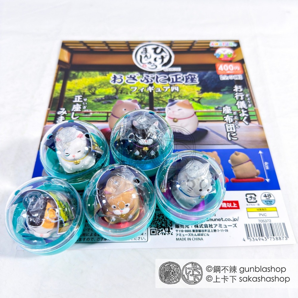 鋼不辣商舖 現貨 AMUSE 鬍子饅頭貓正坐公仔 P4 第四彈 全5種整套販售 扭蛋 轉蛋 療癒 貓咪 擺飾-細節圖3