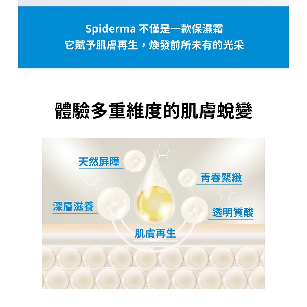 Dr.GRAFT SP:DER:MA+ Cream 蛛絲蛋白抗皺修護乳15g-細節圖4