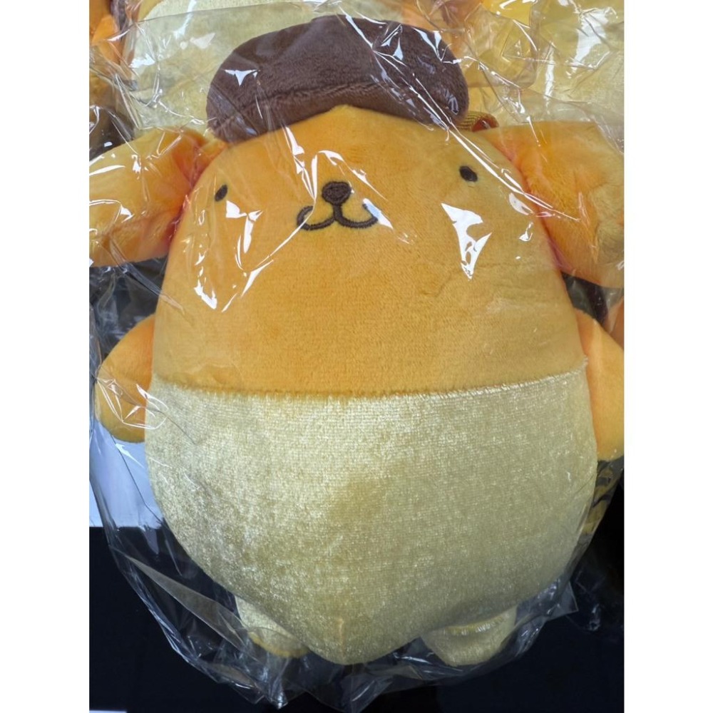 少量現貨 / Sanrio 夏日泳裝系列 絨毛吊飾小包15cm／迷你側背包20cm｜心型登山扣・頭頂拉鍊袋-細節圖7