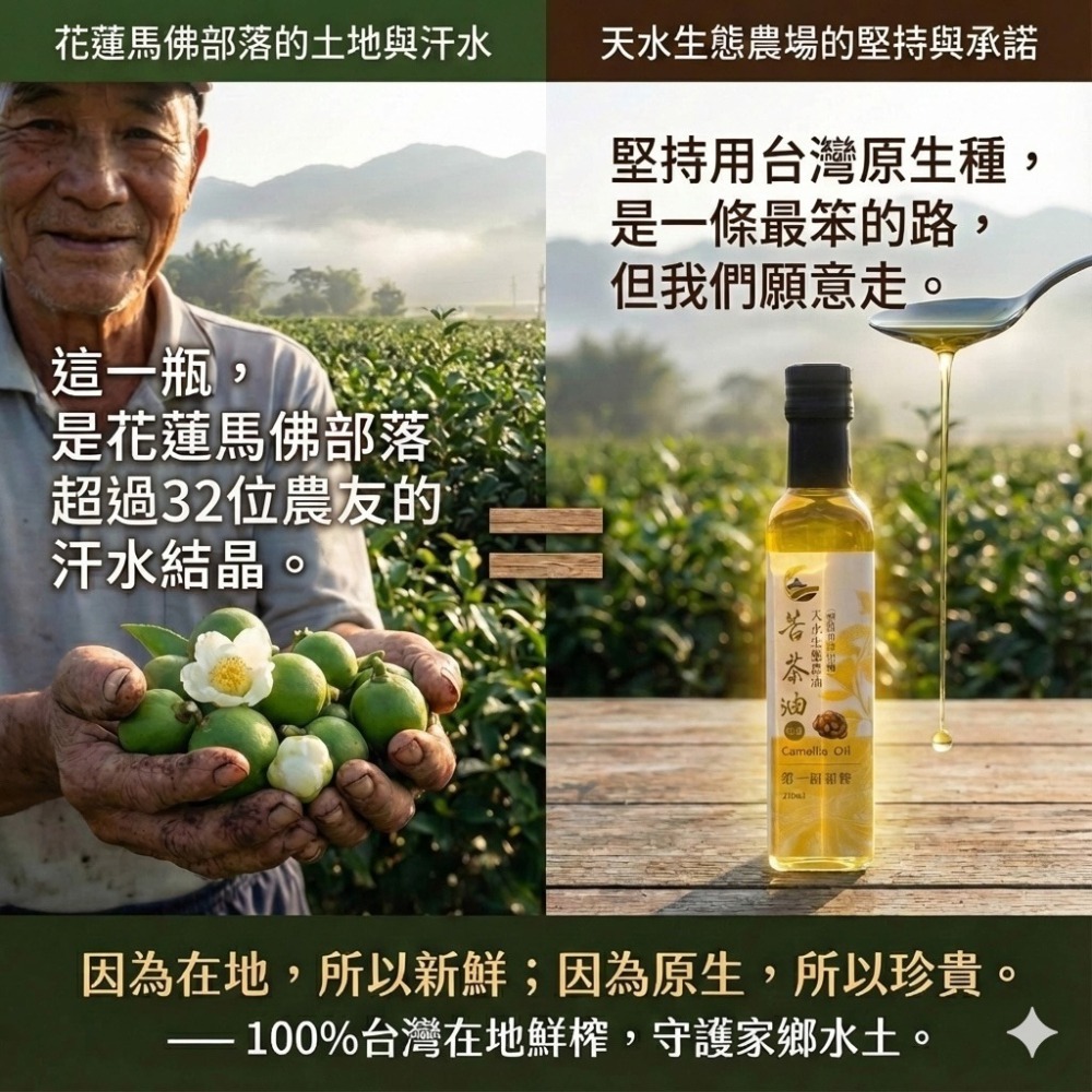 頂級小果苦茶油 /(250ml) | 台灣原生種苦茶籽  100%第一道初榨 溫潤不苦冷壓生飲級-細節圖5