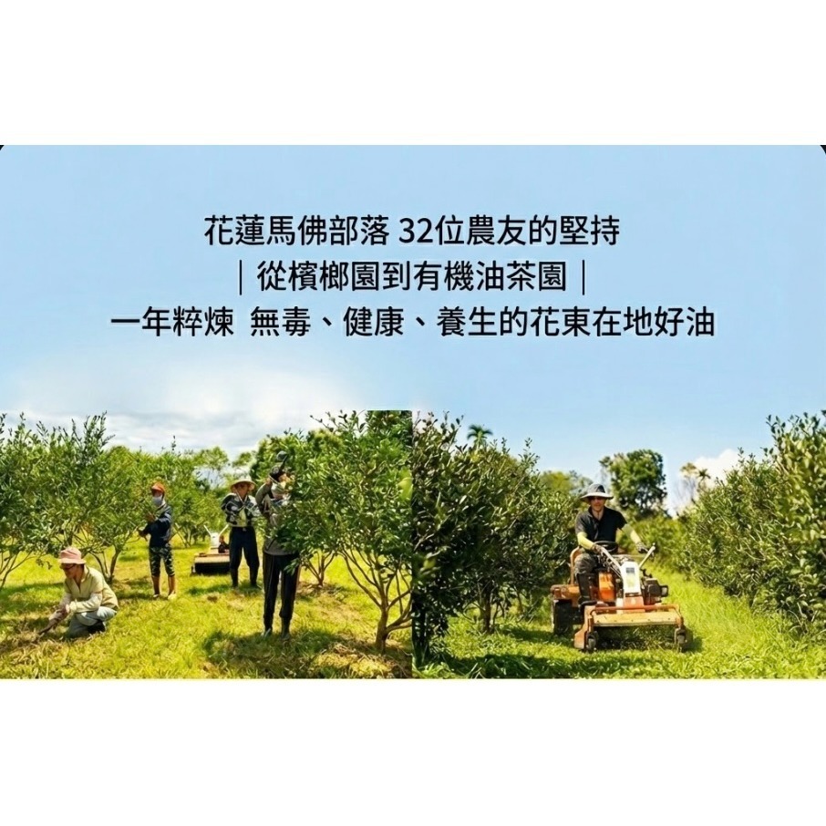 頂級小果苦茶油 /(250ml) | 台灣原生種苦茶籽  100%第一道初榨 溫潤不苦冷壓生飲級-細節圖6