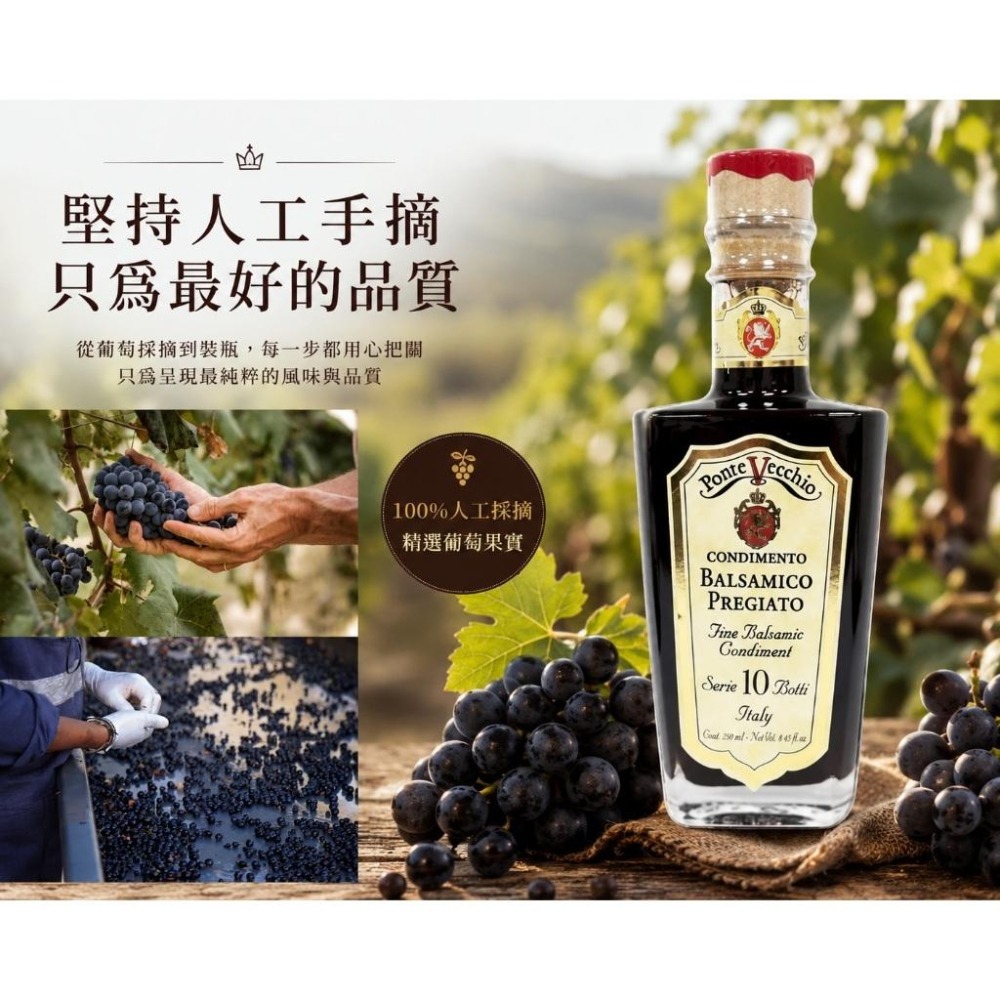 老橋巴薩米克葡萄醋 250ml 10 桶次陳年 義大利IGP 認證 沙拉淋醬 牛排海鮮提鮮 西餐調味 橄欖油醋 陳年葡萄-細節圖5