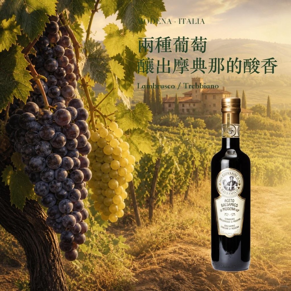 Don Giovanni 摩典那IGP巴薩米克醋 巴薩米克醋 義大利巴薩米克醋 摩典那巴薩米克醋-細節圖2
