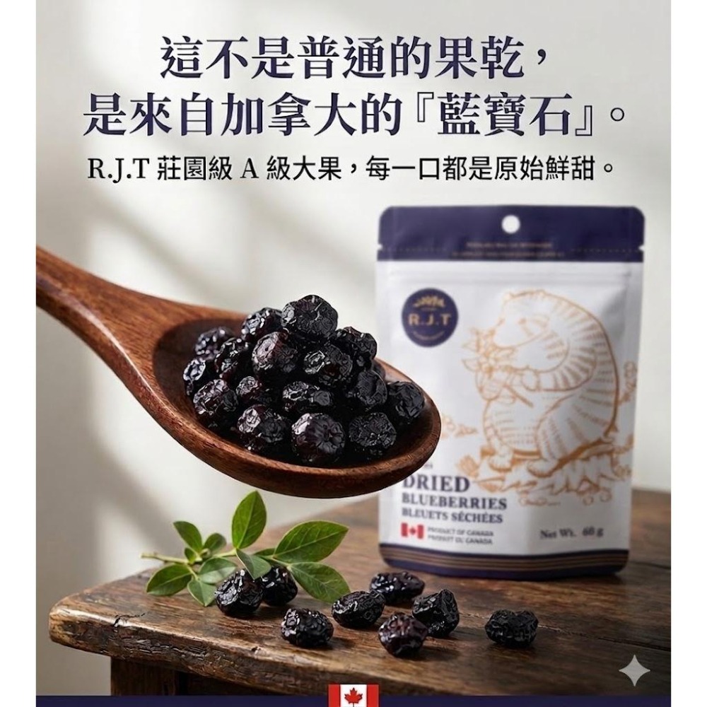 R.J.T 加拿大藍莓｜  A 級藍莓乾 藍莓60 g 低溫乾燥 、無色素 無防腐劑、頂級果乾 花青素-細節圖3