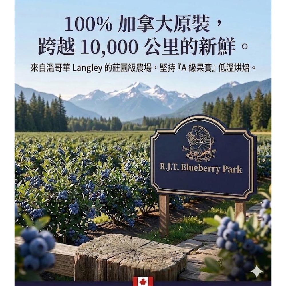 R.J.T 加拿大藍莓｜  A 級藍莓乾 藍莓60 g 低溫乾燥 、無色素 無防腐劑、頂級果乾 花青素-細節圖4