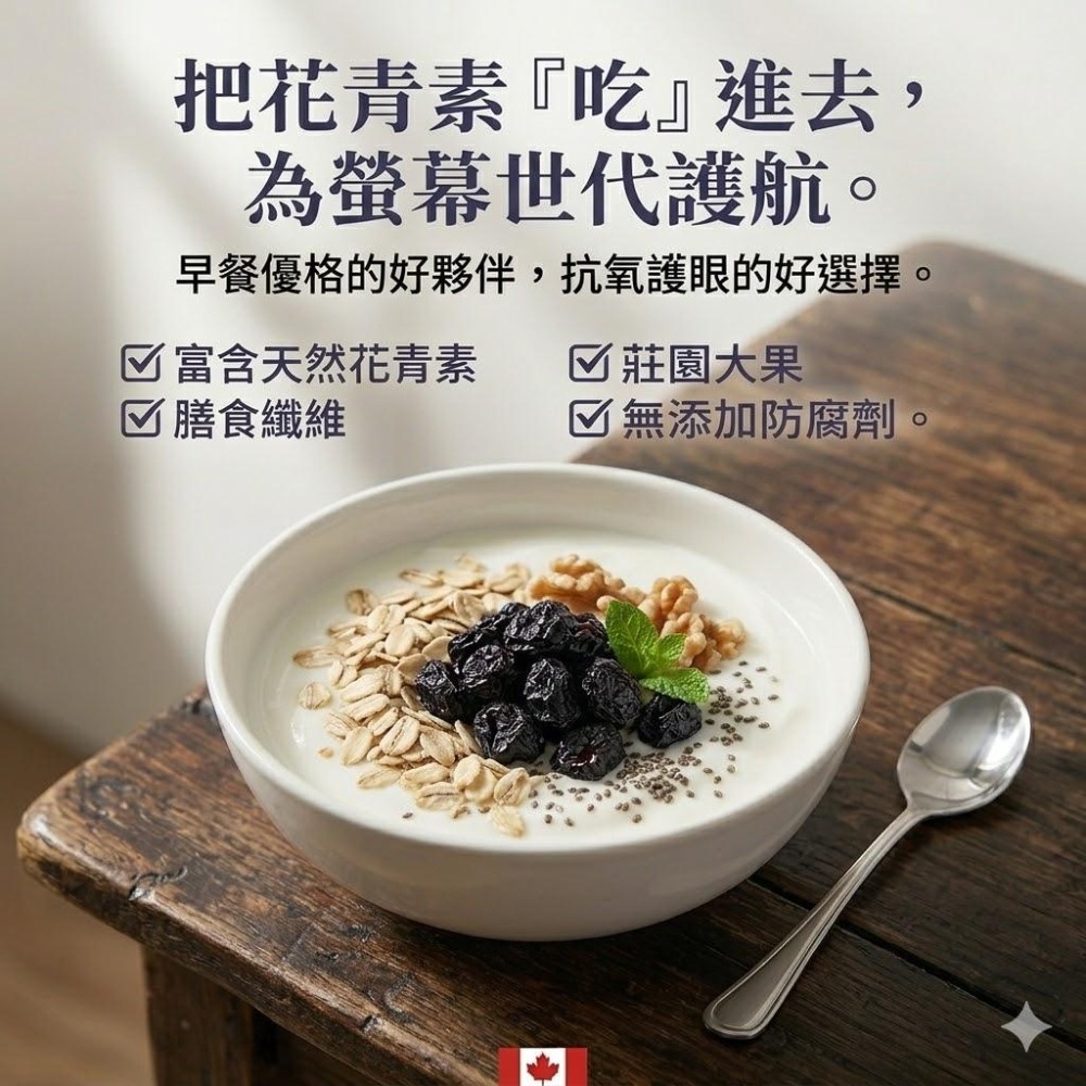 R.J.T 加拿大藍莓｜  A 級藍莓乾 藍莓60 g 低溫乾燥 、無色素 無防腐劑、頂級果乾 花青素-細節圖6