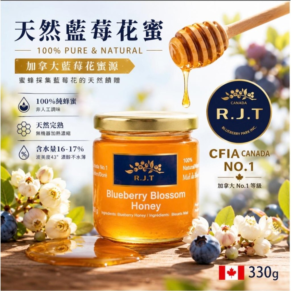 R.J.T 加拿大天然藍莓花蜜 330g｜100%純蜂蜜 藍莓蜂蜜 原裝進口 無添加-細節圖2