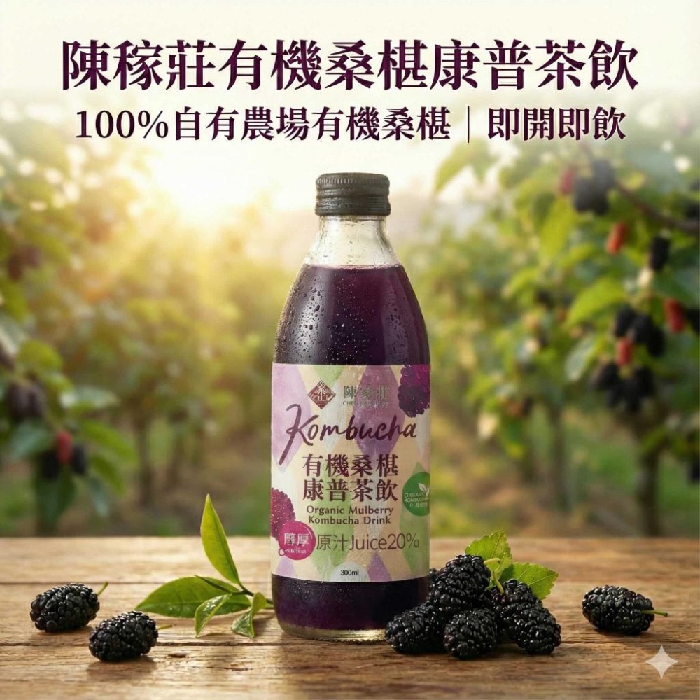 【陳稼莊】有機桑椹康普茶 300ml｜自種有機桑椹、康普茶 Kombucha、無化學添加、台灣產-細節圖3