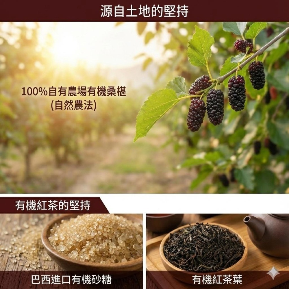 【陳稼莊】有機桑椹康普茶 300ml｜自種有機桑椹、康普茶 Kombucha、無化學添加、台灣產-細節圖4