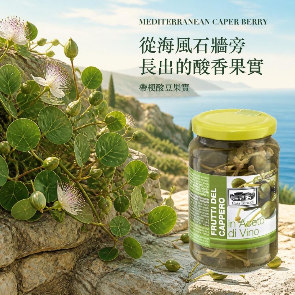 Casa Rinaldi 醋漬帶梗酸豆果實 義大利麵 披薩 塔塔醬-細節圖2
