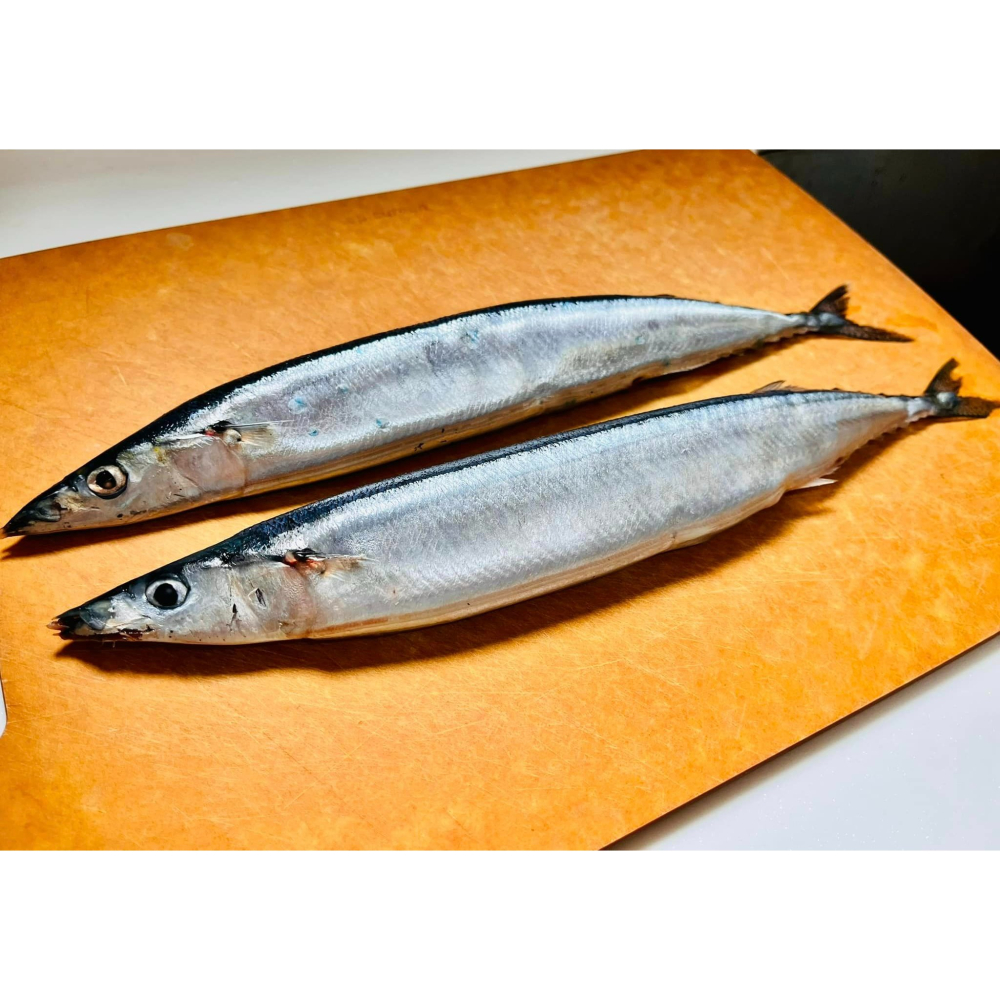 特大秋刀魚