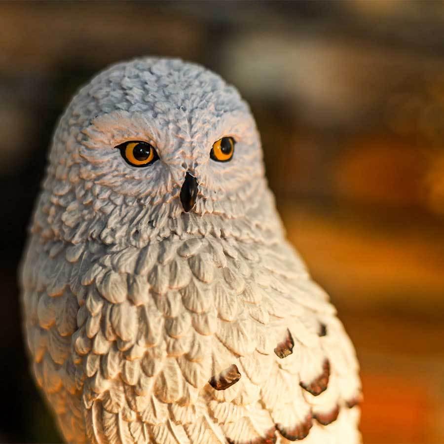 【Peoria 魔法選物舖】海德薇音樂盒｜霍格華茲之夜款擺飾收藏-細節圖4