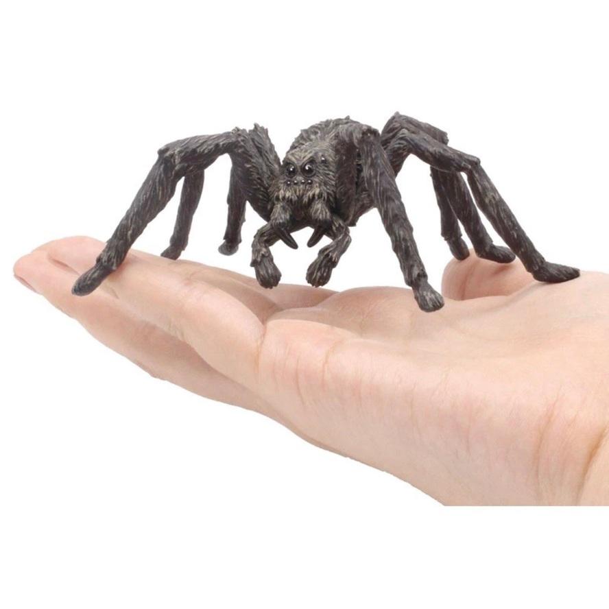 Peoria✿怪獸與牠們的產地 整組 扭蛋 玻璃獸 阿辣哥 嘿美 貓頭鷹 鳳凰 福克斯 樹精 紐特生物-細節圖7