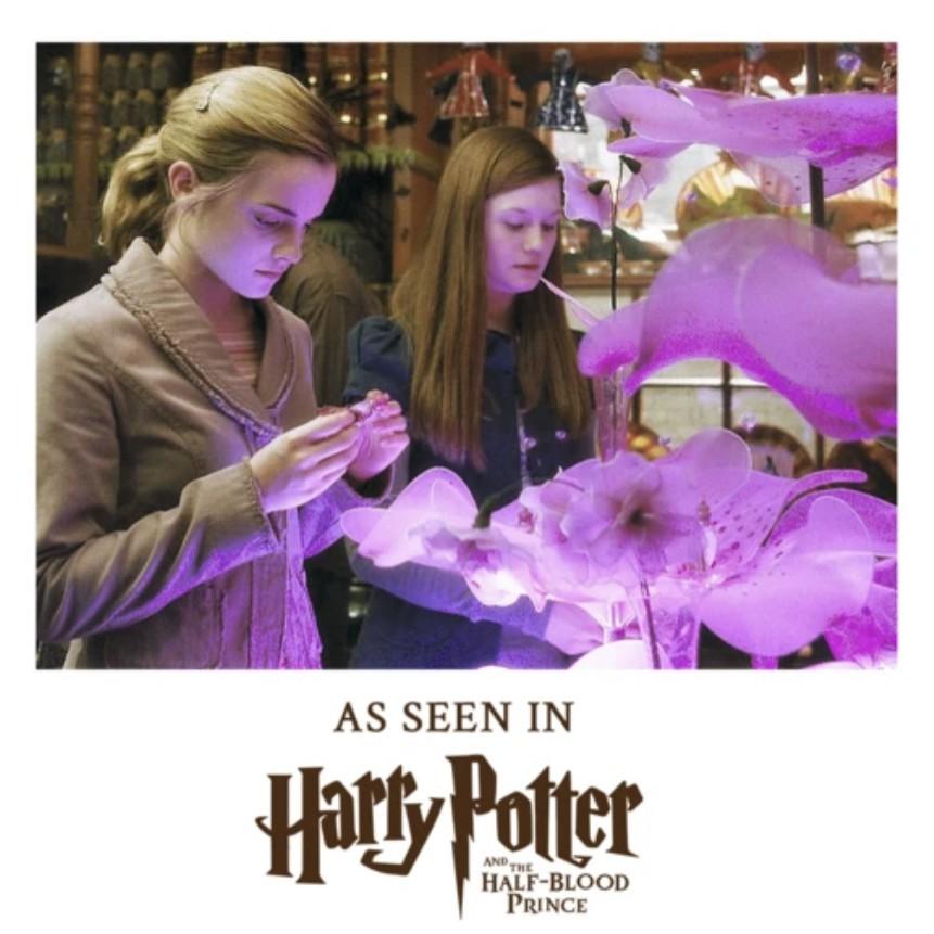 Peoria✿哈利波特 愛情魔藥 愛情藥水 項鍊 Love Potion Pendant with Display-細節圖3