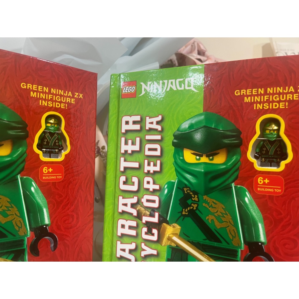 樂高 LEGO njo070 忍者 和服勞埃德 最終一戰 ZX綠色忍者 全新-細節圖3