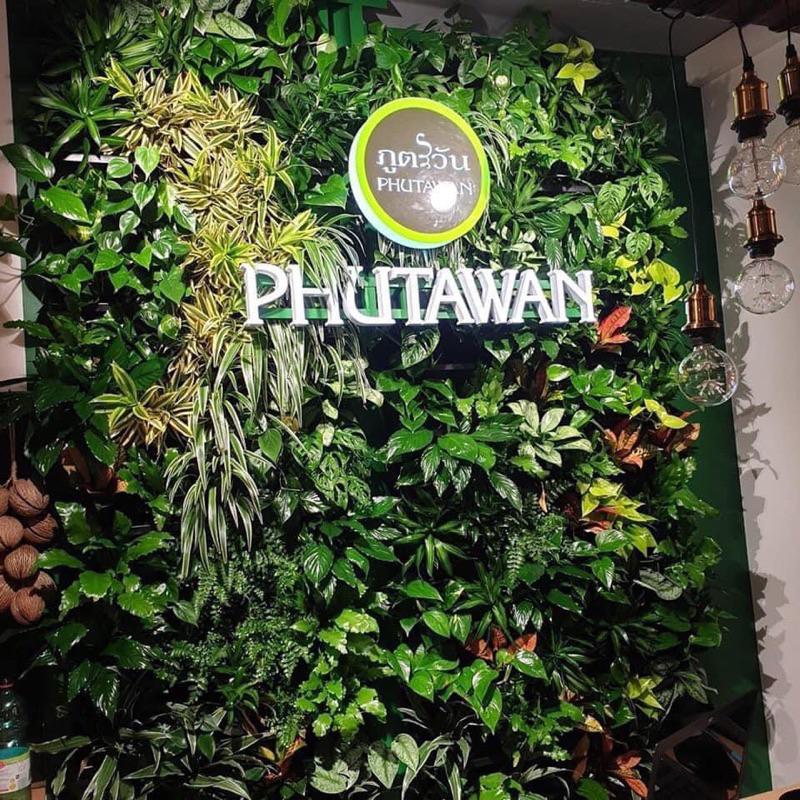 [滿額免運] PHUTAWAN有機天然防蟎除蟎驅蟎噴霧-細節圖7