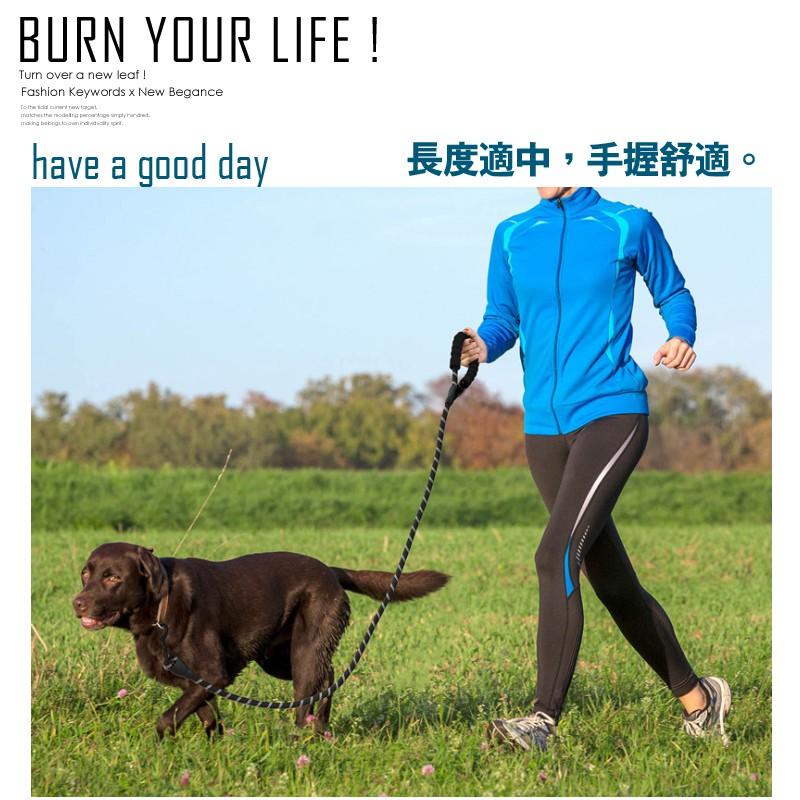 ☆優選品質很好用的寵物牽繩 狗牽繩 貓牽繩 寵物皆可使用 P1 DOG050-細節圖2