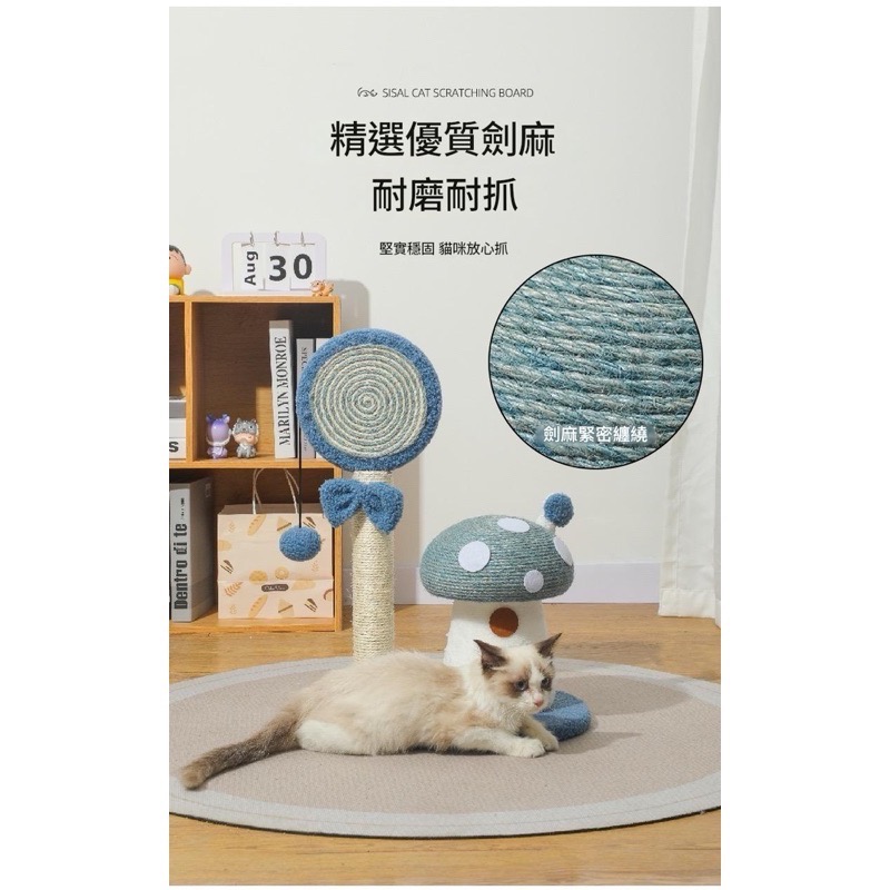 棒棒糖蘑菇造型貓抓柱-細節圖4