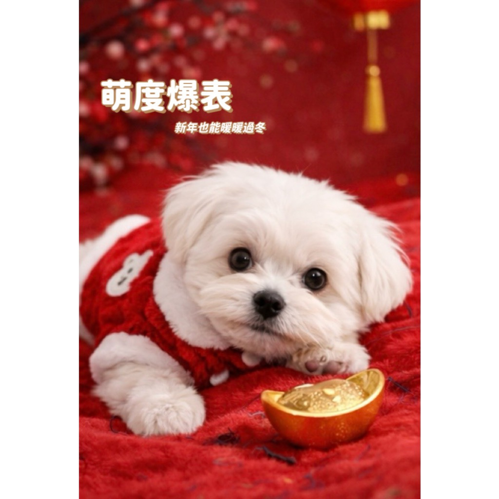 寵物新年保暖衣-細節圖3