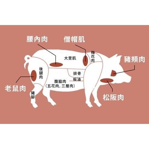 全心鮮魚丸＿ 後腱子肉 / 老鼠肉  重量300g【已切片-約2.5mm】特價中-細節圖5