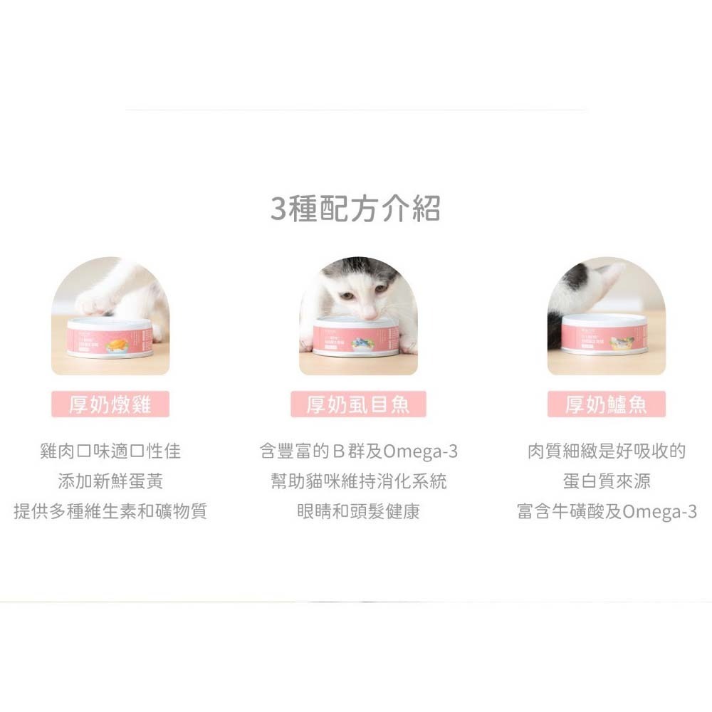 Lady Flavor好味小姐 1+1貓奶粉 幼母貓主食罐24入不挑款  貓咪主食罐 幼貓罐-細節圖5