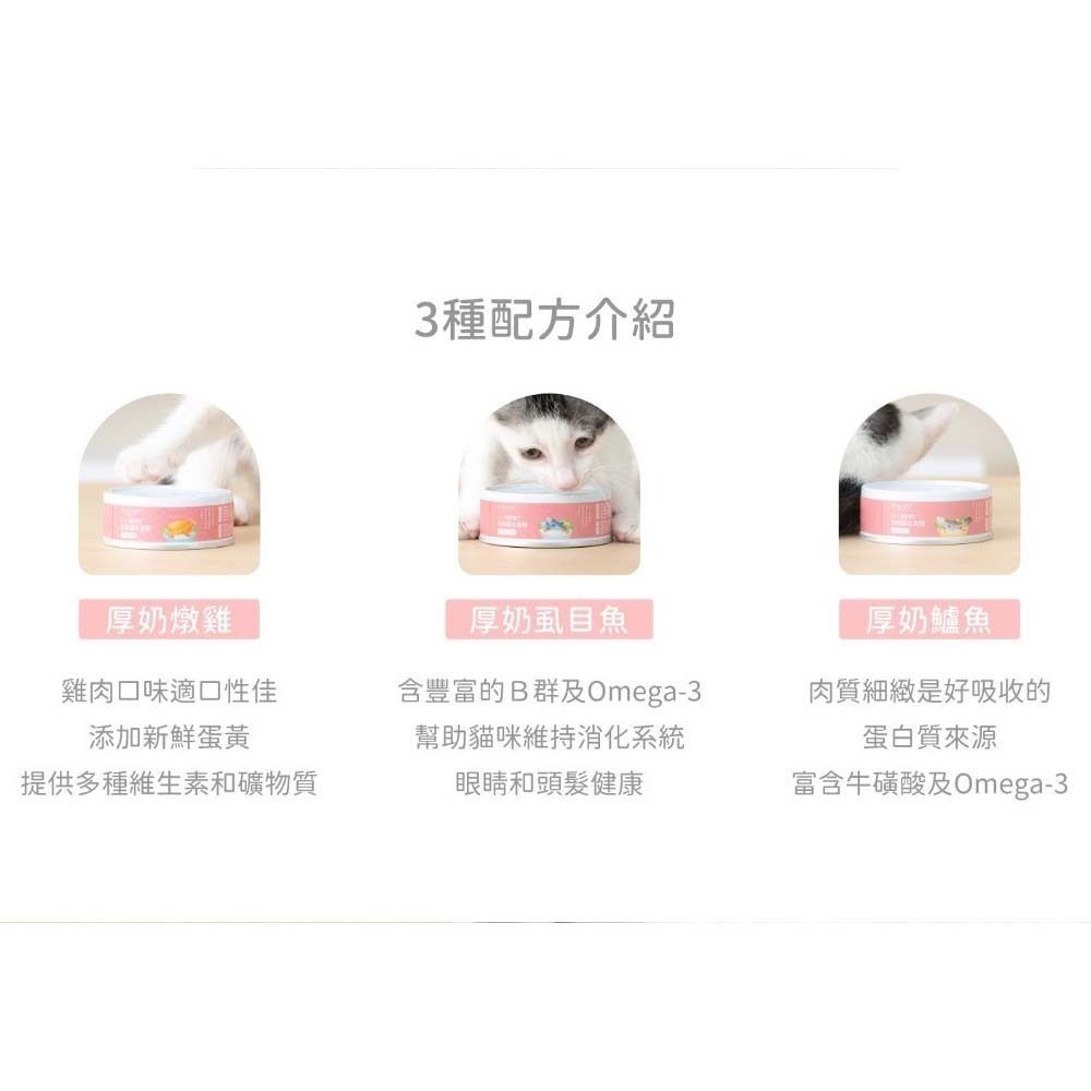 Lady Flavor好味小姐 1+1貓奶粉 幼母貓主食罐24入不挑款  貓咪主食罐 幼貓罐-細節圖5