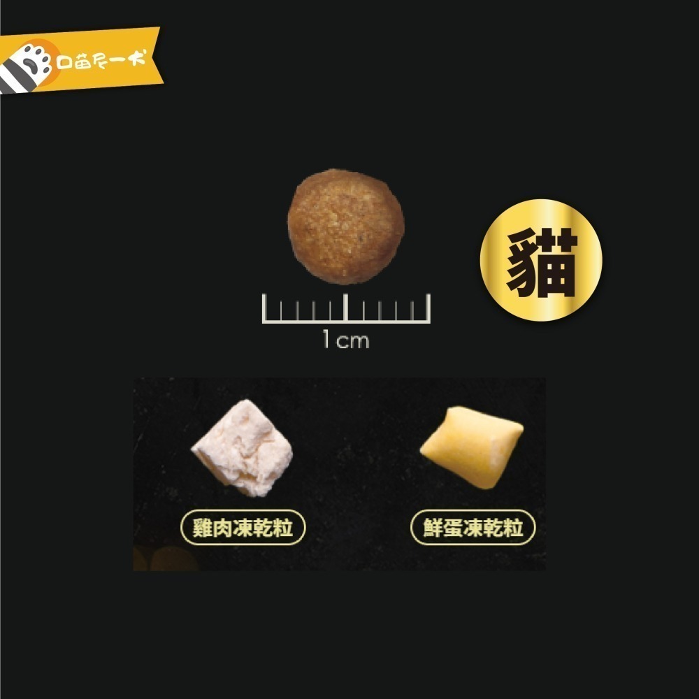 ✨特百滋 貓飼料 凍乾貓飼料 貓凍乾主食 無穀貓飼料 2磅 5磅 低敏 貓主食 貓糧 貓食-細節圖9