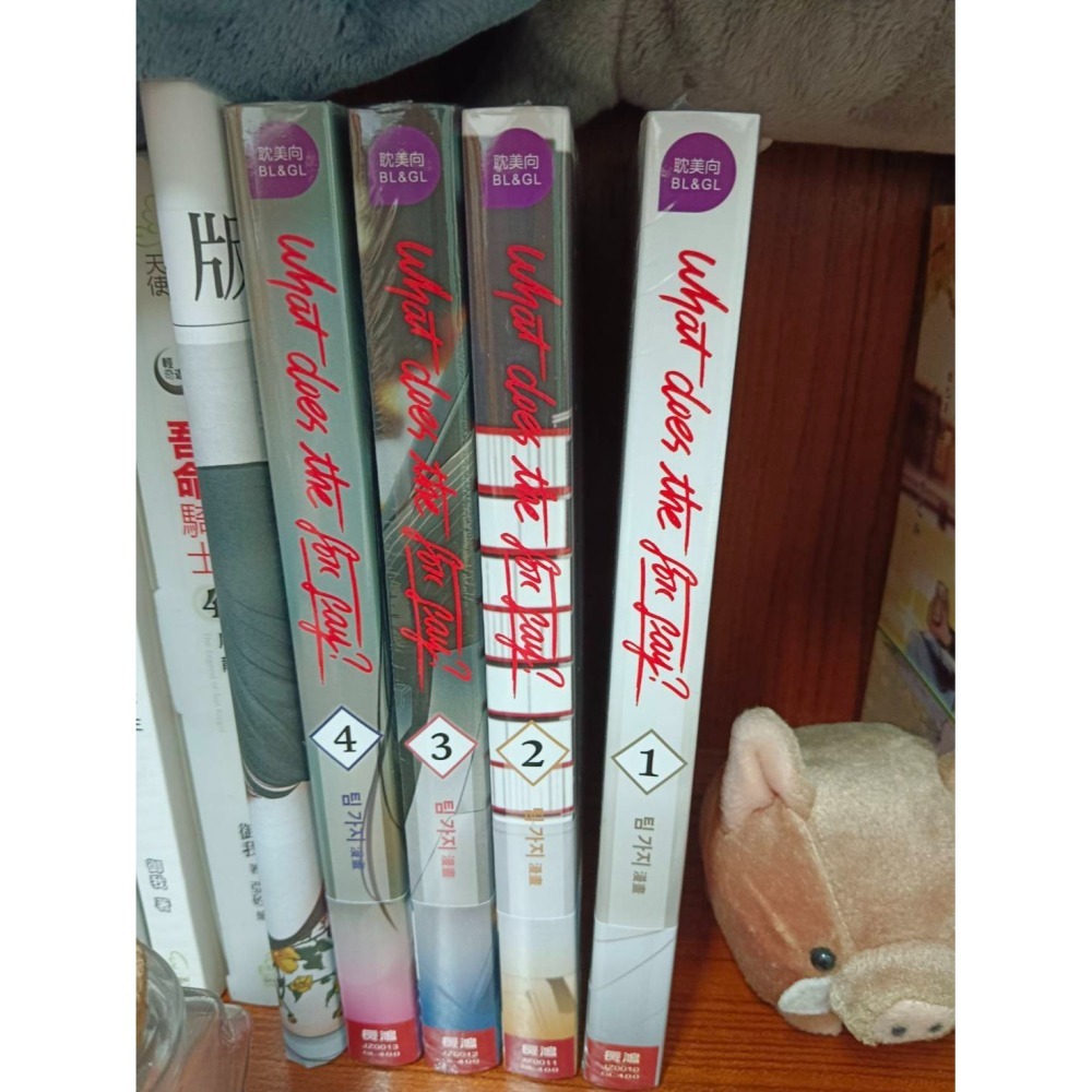 百合小說/漫畫 銜蟬奴/與妳相依一和二/狐狸再說什麼1-4全新未開封-細節圖3