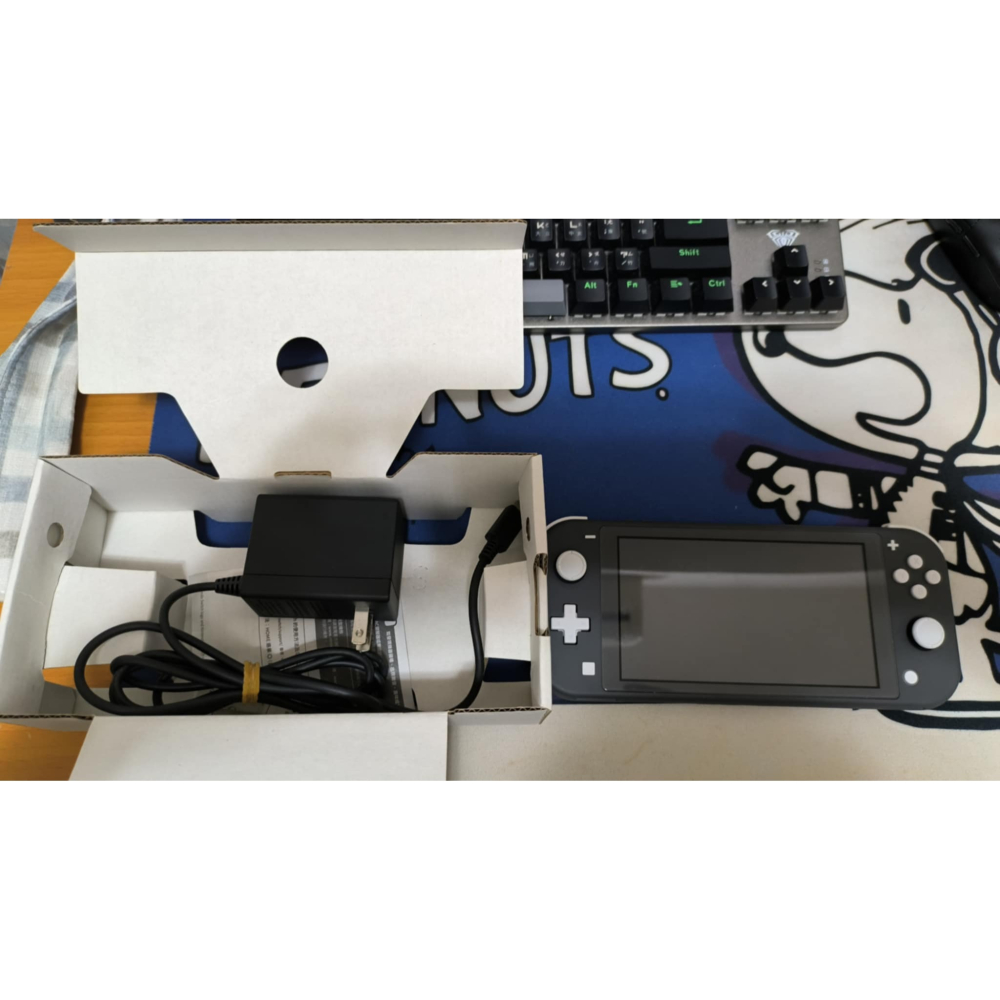 冰犽 Switch Lite 二手主機 灰色有盒 含64g記憶卡 收納包 保護貼-細節圖6