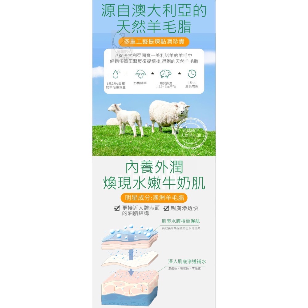 【現貨】澳洲綿羊油滋潤綿羊霜 250g 綿羊乳液 效期2027年2月 保濕霜 乳液 保濕乳液 身體乳-細節圖4