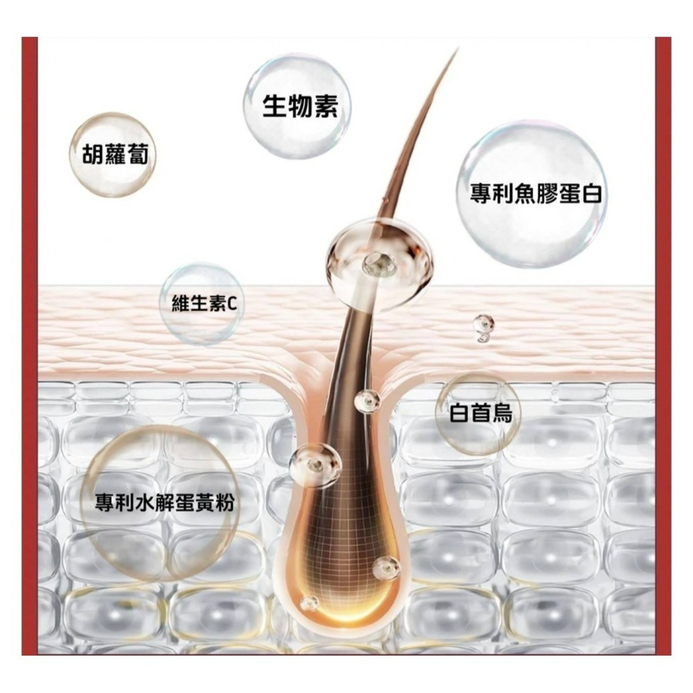 🔥超級生技 S8髮量女神🔥-細節圖2