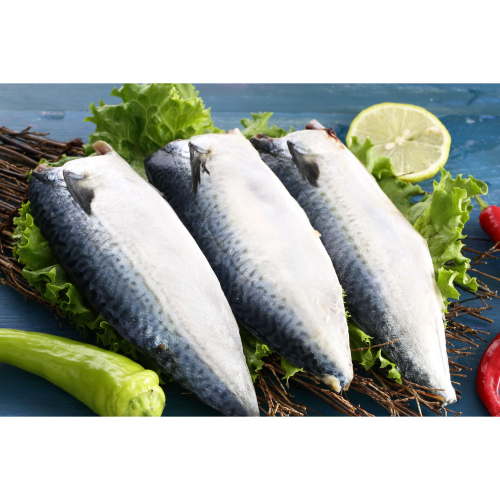 【大江生鮮】宜蘭薄鹽鯖魚150g/片！(有細刺喔！並非無刺！！)