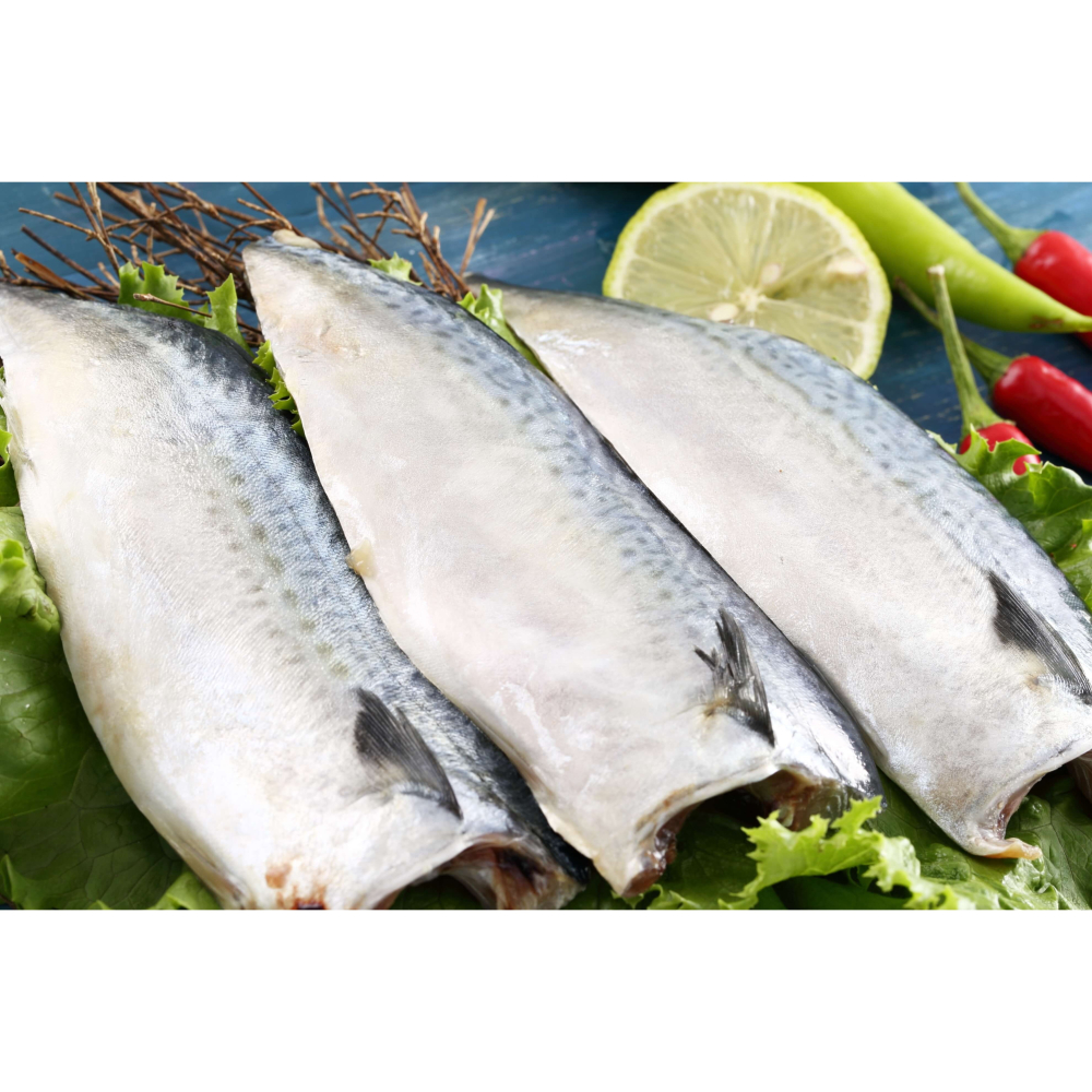 【大江生鮮】宜蘭薄鹽鯖魚150g/片！(有細刺喔！並非無刺！！)-細節圖2