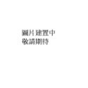 大顆粒積木曲面磚 樂高得寶 相容益智 基礎顆粒 基礎塊 幼兒園玩具 早教積木 美高 德寶 樂酷磚家-規格圖1