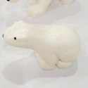 白色幼熊