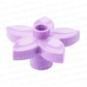2朵淺紫色五角小花