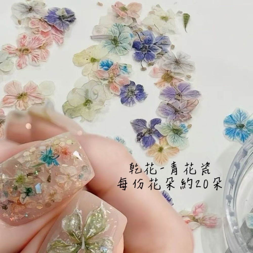 秘境花園-歐泊乾花（每月10號結單）-細節圖15