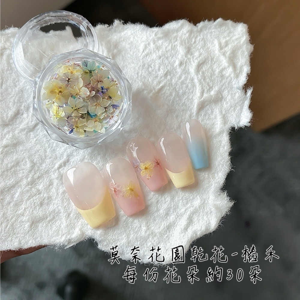 莫奈花園乾花（每月10號結單）-細節圖3