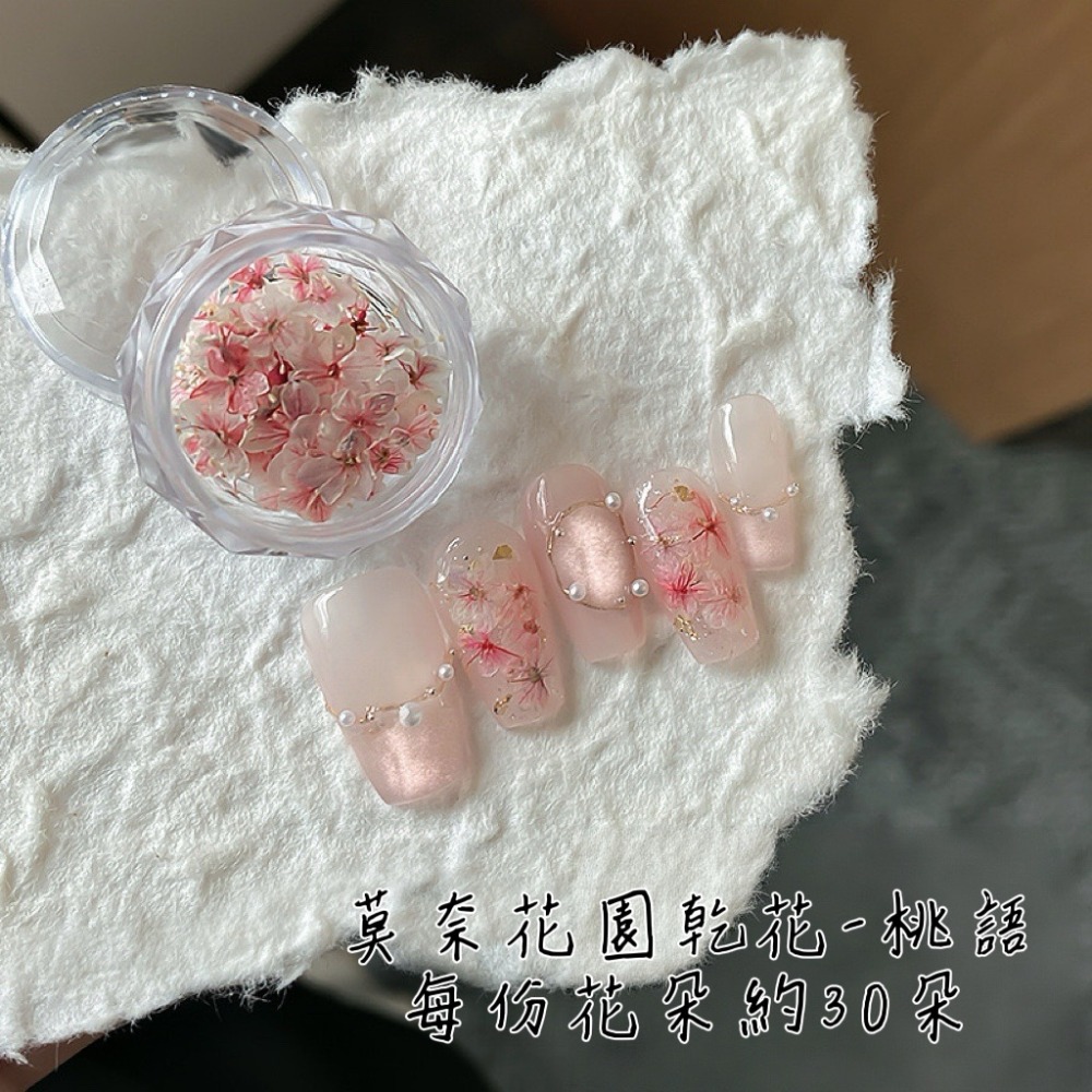 莫奈花園乾花（每月10號結單）-細節圖4