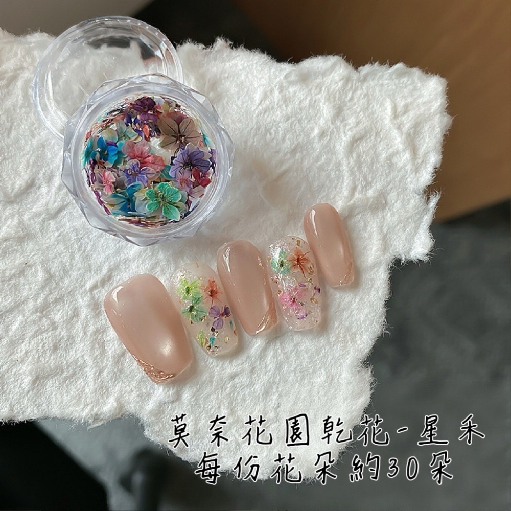 莫奈花園乾花（每月10號結單）-細節圖7