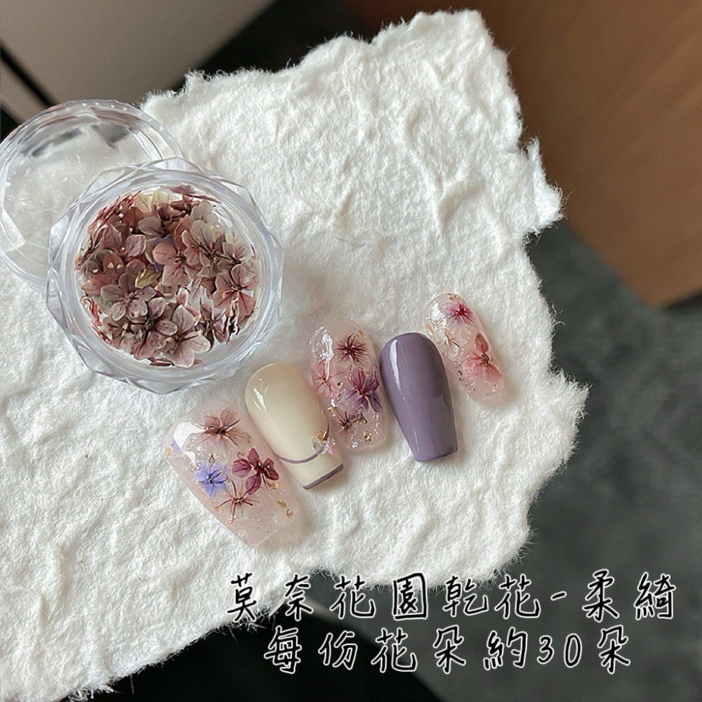 莫奈花園乾花（每月10號結單）-細節圖10