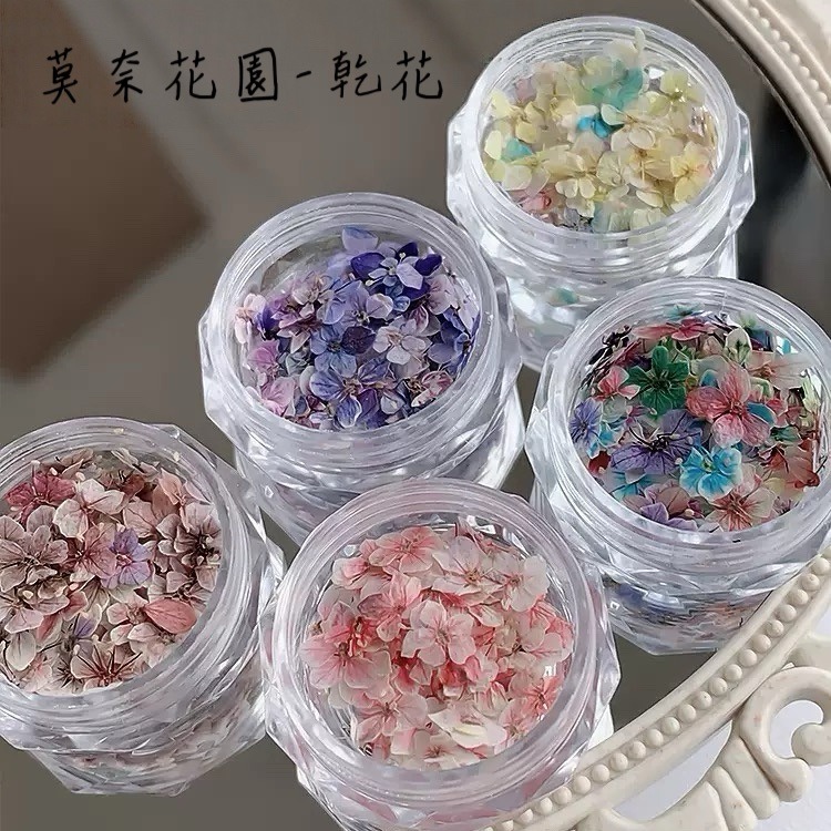 莫奈花園乾花（每月10號結單）-細節圖13