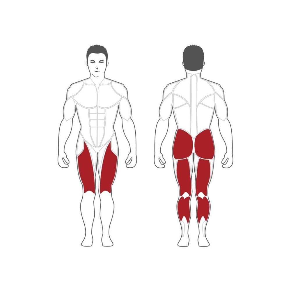 Steelflex 油壓式腿部推蹬訓練(油壓) CLP600-細節圖2