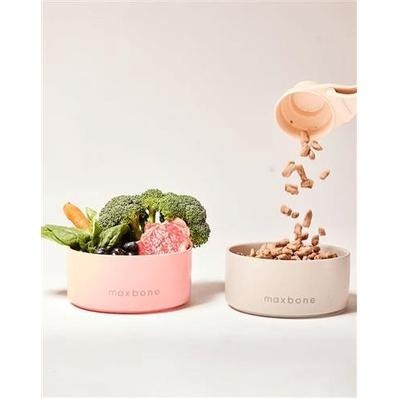 {關門放狗} 美國 Maxbone Classic Ceramic Bowl 經典寵物陶瓷碗-細節圖2