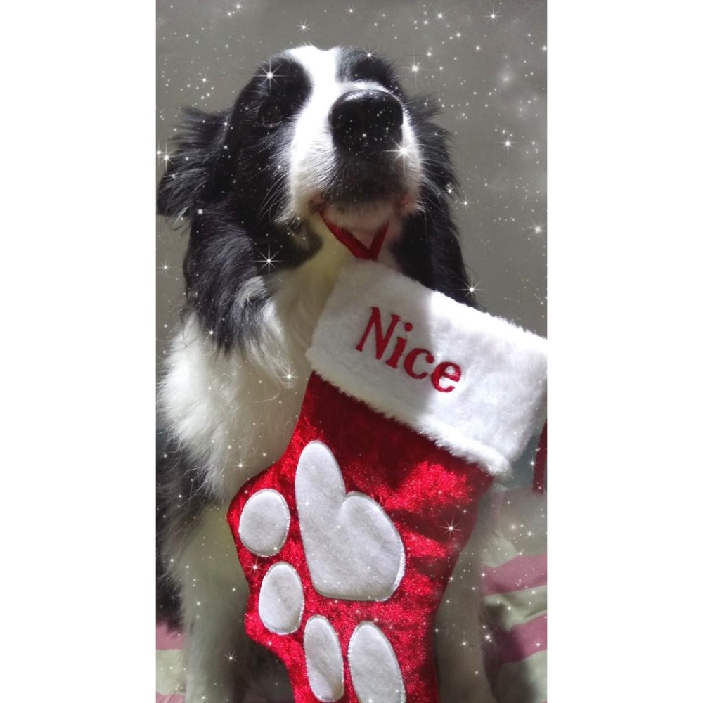 {關門放狗} 美國 Pet Factory Plush Holiday Dog Stocking 寵物專屬聖誕禮物襪-細節圖2